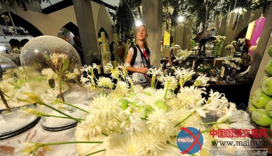 奥地利图伦国际园艺展:花园里的童话