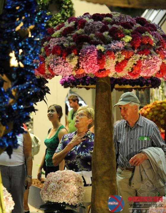 奥地利图伦国际园艺展:花园里的童话