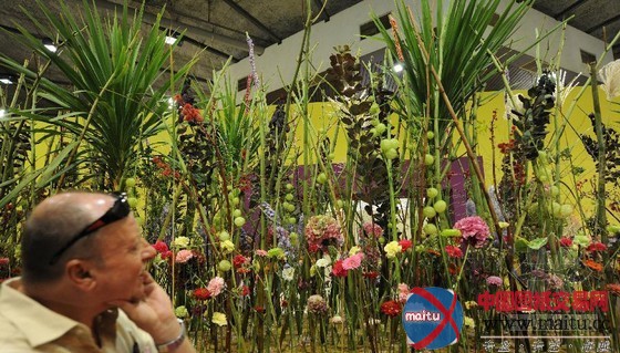 奥地利图伦国际园艺展:花园里的童话