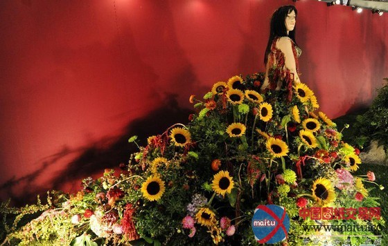 奥地利图伦国际园艺展:花园里的童话