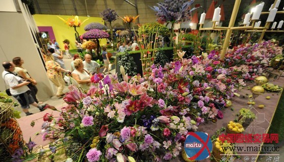 奥地利图伦国际园艺展:花园里的童话