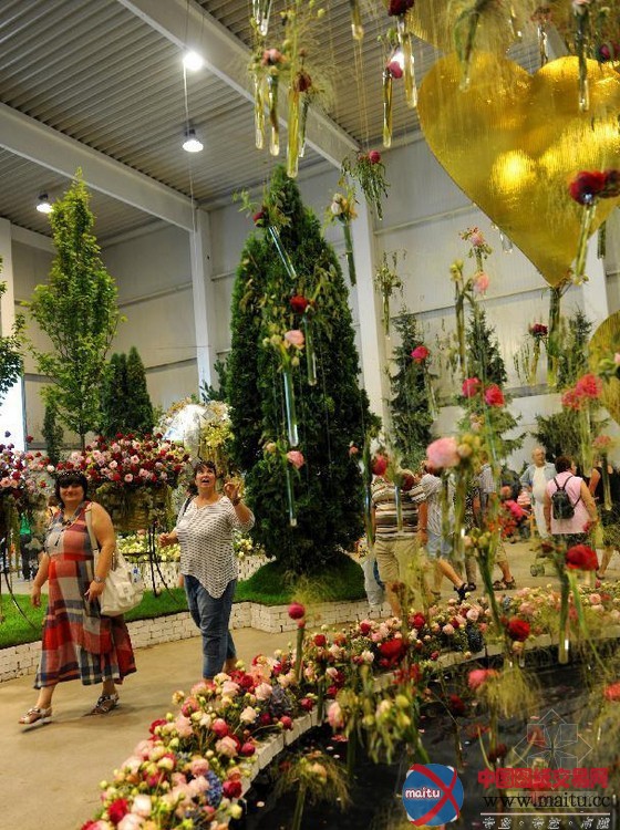 奥地利图伦国际园艺展:花园里的童话