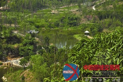 重庆卧龙石上览生态园博