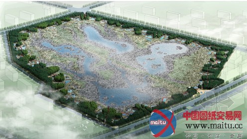 哈尔滨将建全国首个雨洪公园——群力国家城市湿地公园