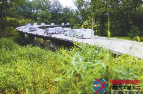 浙江九龙国家湿地公园初见端倪