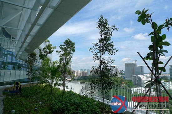 T.R.Hamzah&Yeang Sdn Bhd设计的新加坡SOLARIS 项目