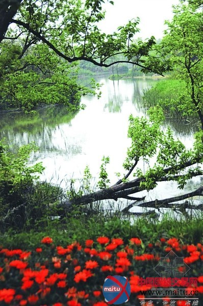 杭州西溪湿地:幽静中释压