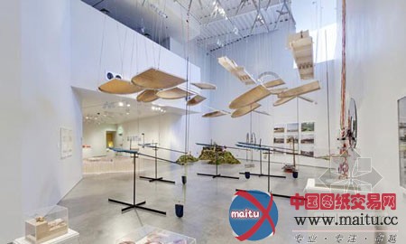 英国建筑学讲师艺术品:表面张力