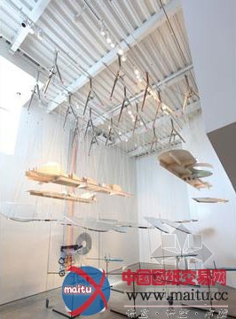 英国建筑学讲师艺术品:表面张力