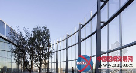 Ingenhoven事务所设计的悉尼生态高层建筑揭幕