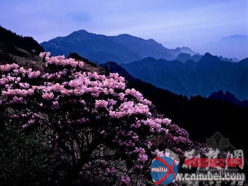 神农架创建5A旅游景区景观价值通过评审