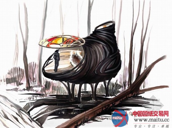 24H-architecture设计的树屋