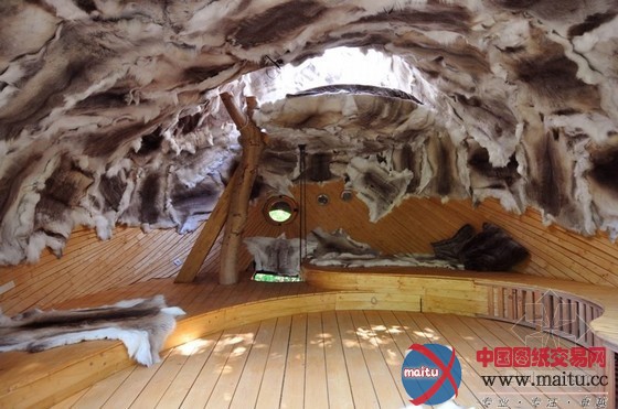 24H-architecture设计的树屋