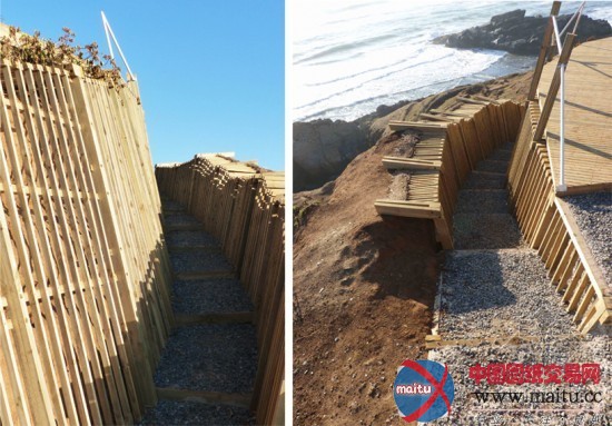 mauricio a. ureta villagra设计的智利塔尔卡观景平台