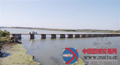 青岛母亲河将变身景观长廊