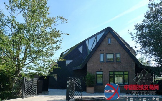 Ooze设计的Villa Rotterdam别墅改造