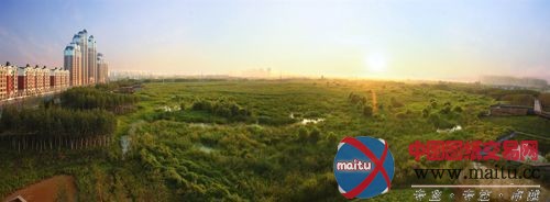 天下首个雨洪公园表态哈尔滨——群力国度都会湿地公园