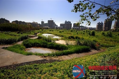 天下首个雨洪公园表态哈尔滨——群力国度都会湿地公园