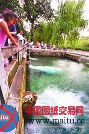 新八景候选景观已达977处 亲民景观黑虎啸天跃榜首