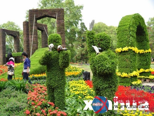 辛亥革命百年主题花卉展绽放武汉