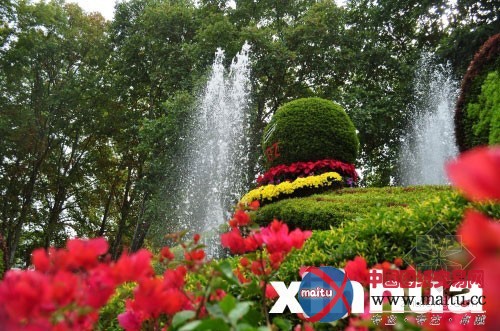 辛亥革命百年主题花卉展绽放武汉