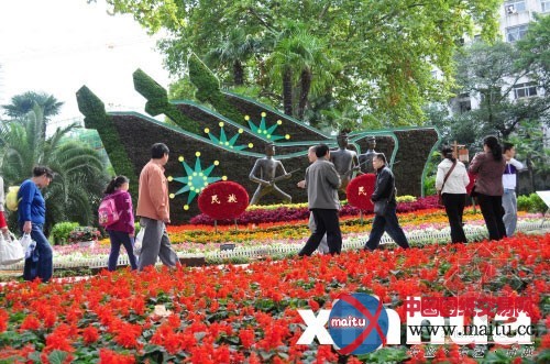 辛亥革命百年主题花卉展绽放武汉