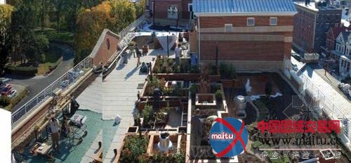 首席风景园林师罗宾设计的Serviam花园