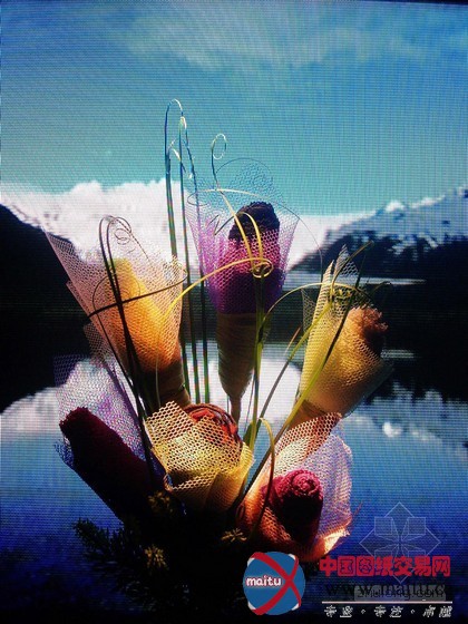 伦敦2011马拉松花园艺术展