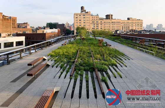 伦敦2011马拉松花园艺术展