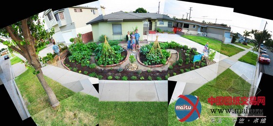 伦敦2011马拉松花园艺术展