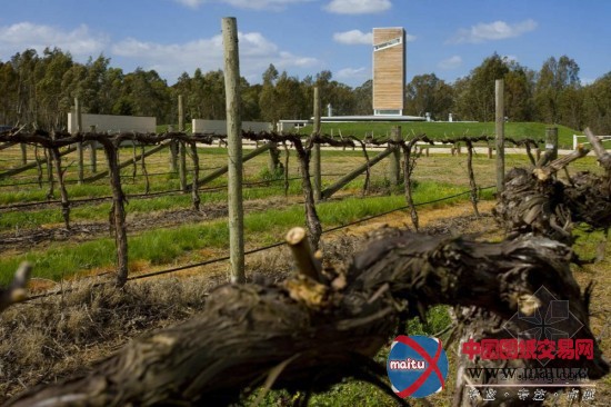 Popov Bass Architects设计的山姆·米兰达酒厂