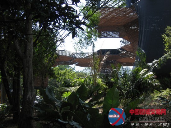 Plan B设计的哥伦比亚生态建筑