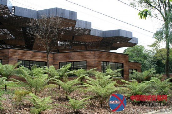 Plan B设计的哥伦比亚生态建筑