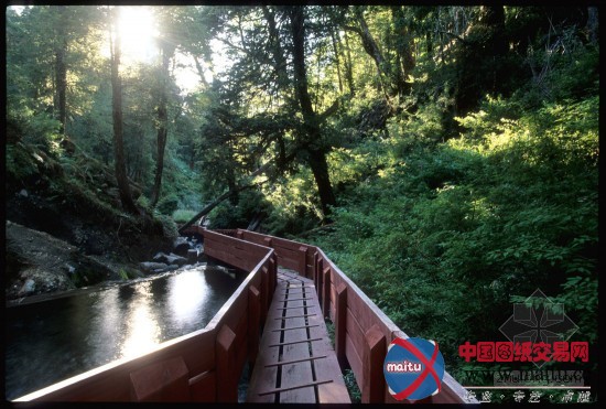 智利几何温泉公园设计