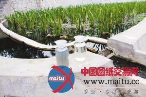 沙坪坝建人工生态湿地进行污水处理