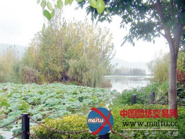 滇池再添永昌湿地公园