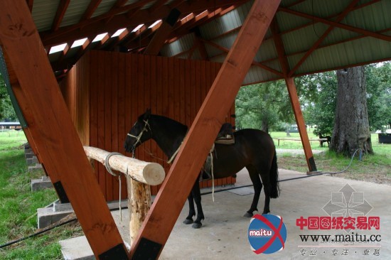 AATA Associate Architects 设计的智利马厩