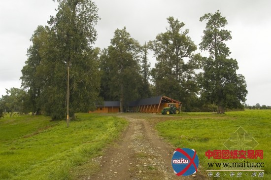 AATA Associate Architects 设计的智利马厩