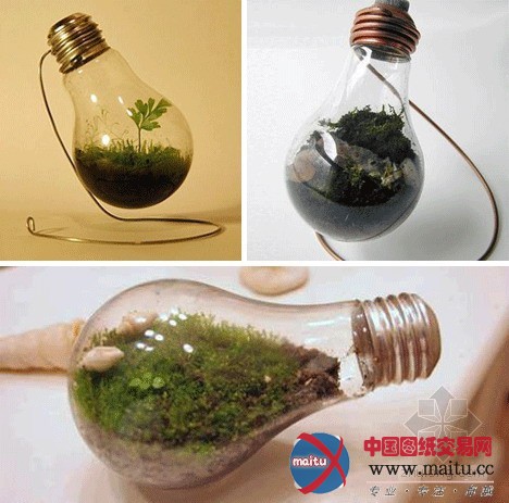 DIY小饰品 灯泡新用法