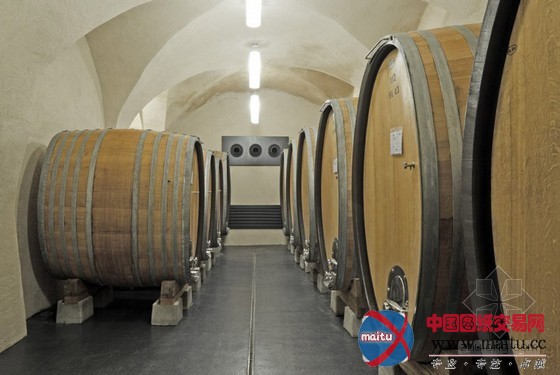 意大利nals-margreid葡萄酒厂设计