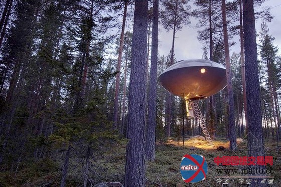 Treehotel 旅馆之UFO