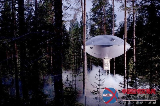 Treehotel 旅馆之UFO