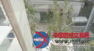 藤本壮介新作品 日本NA住宅