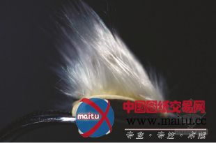 打造中国的“诺亚方舟”