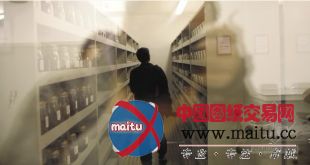 打造中国的“诺亚方舟”