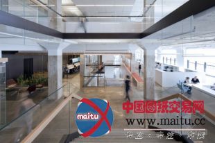 a+i architecture设计的地平线媒体新办公室