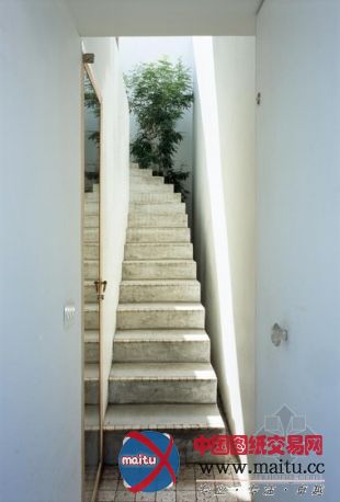 TAKESHI HOSAKA ARCHITECTS设计的日本迷你住宅