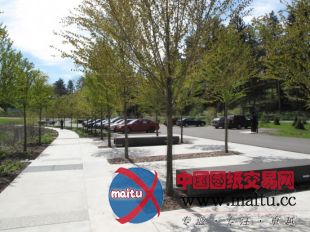 Baird Sampson Neuert Architects设计的康奈尔种植园访问中心