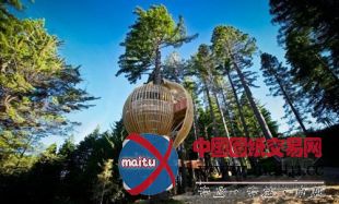 个性的国外餐厅设计