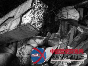 成丰大厦“穿衣戴帽”一年部分装饰线脱落